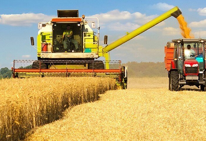 Россия повысит пошлину на экспорт пшеницы до $91 за тонну