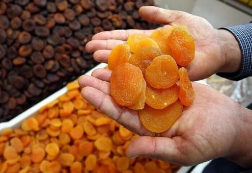 Entrepreneur in Turkmenistan’s Dashoguz Produces Dried Plum, Apple and Melon