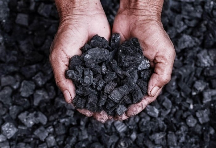 Turkmen Scientists Introduce New Method of Producing Activated Carbon