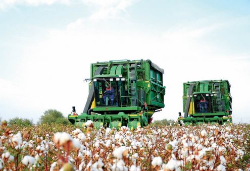 Türkmenistan'da buğday, pamuk ve şeker pancarı üreticileri teşvik ediliyor