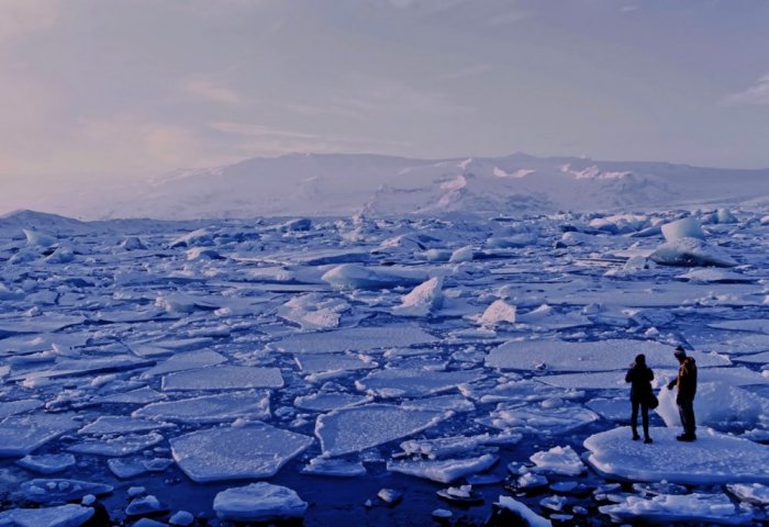 Grenlandiýa diňe bir günde 11 milliard tonna buz ýitirdi