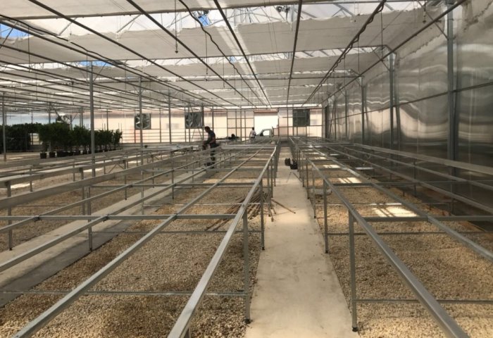 BHK Greenhouse Offers Modern Greenhouses to Turkmen Farmers