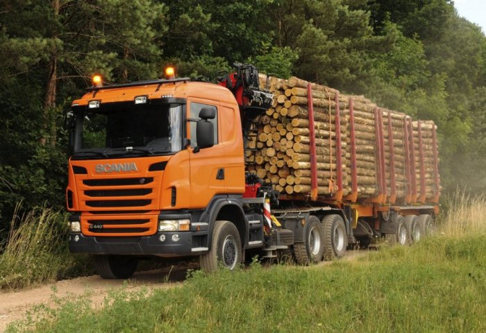 Turkmenistan Imports Over 3,300 Cubic Meters of Russian Lumber
