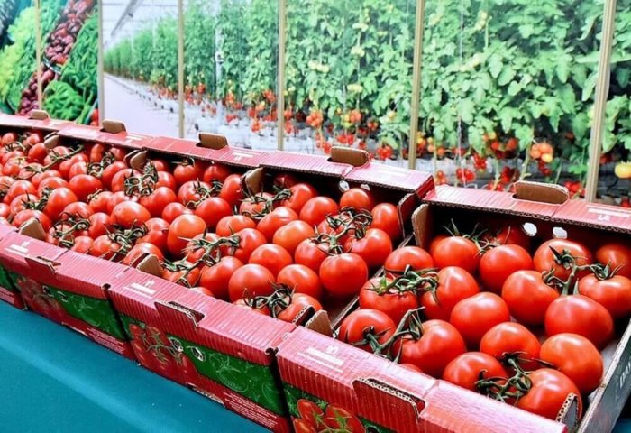 Январь 2023: Россия импортировала 5 тыс. тонн туркменских помидоров 