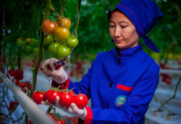 Turkmen Private Sector Exports Food Products for Over $25 Million