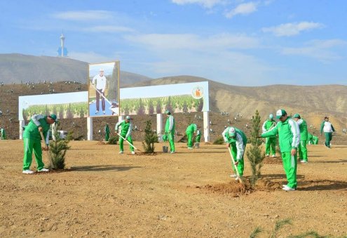 Президент Туркменистана дал старт озеленительной программе