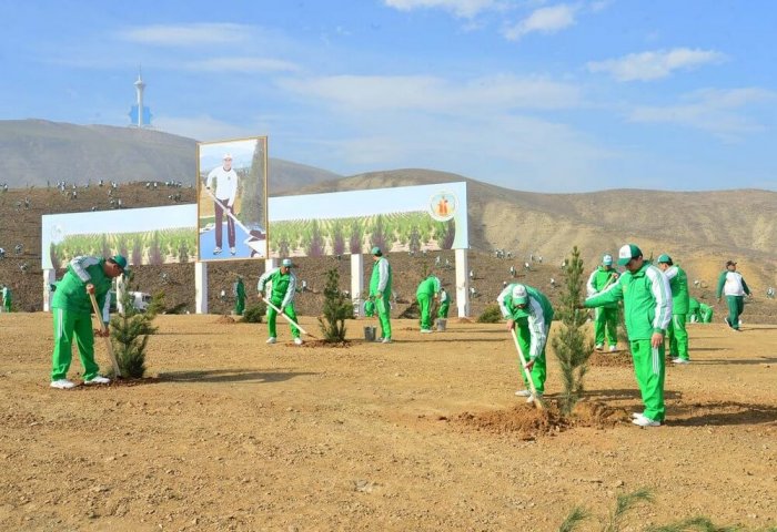 Президент Туркменистана дал старт озеленительной программе