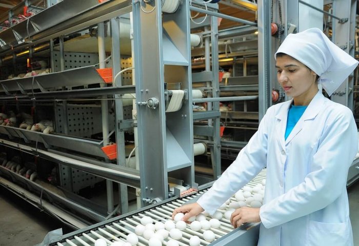 Предприниматели Лебапского велаята наращивают объемы производства пищевой продукции