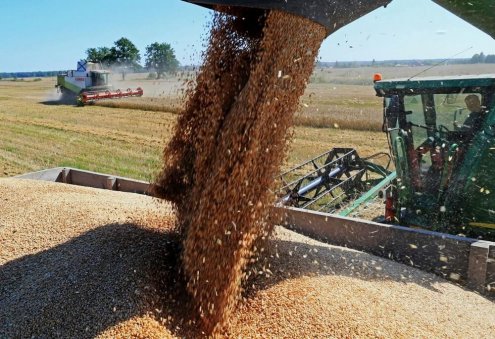 Global Food Prices Fall for 12th Month in Row