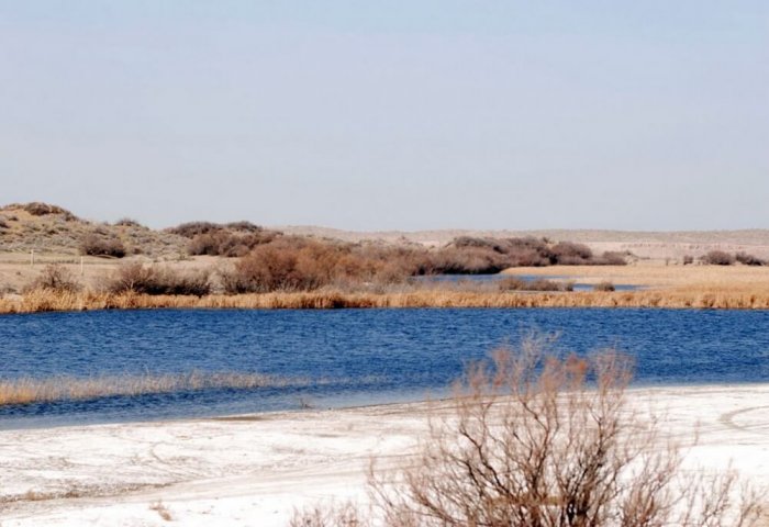 Türkmenistanlı bilim adamlarına çöl bitkilerinin bakımına yönelik ekipman teslim edildi