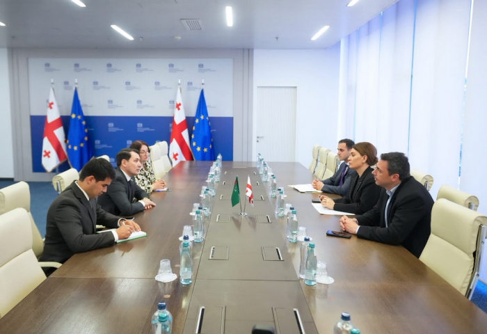 Turkmenistan and Georgia Discuss Expansion of Trade and Economic Cooperation