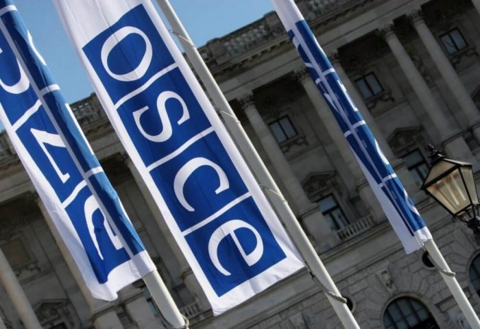OSCE, Turkmen Foreign Ministry Present Plan For Projects in 2021