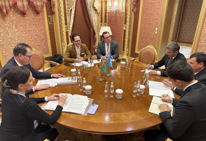 ЮНИДО готова содействовать Туркменистану в создании экологичных производств