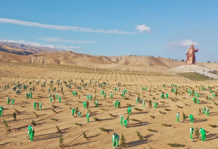 Turkmen President Launches Autumn Tree Planting Campaign