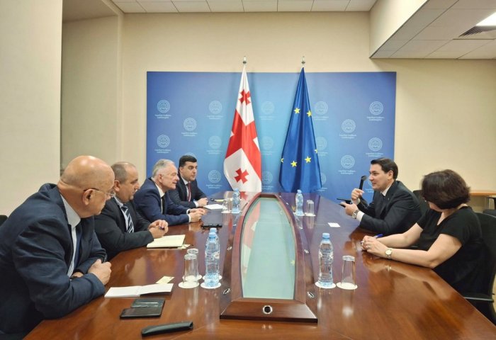 Turkmenistan, Georgia Discuss LLDC3 and Bilateral Cooperation Turkmenistan, Georgia Discuss LLDC3 and Bilateral Cooperation