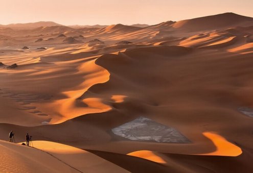 Роль пустынь в мировой экосистеме
