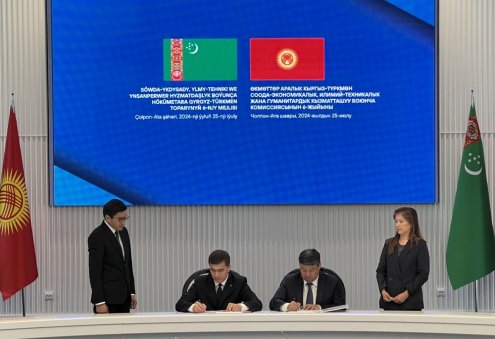 2025-nji ýylda Türkmenistan Gyrgyz Respublikasyna elektrik energiýasyny eksport eder