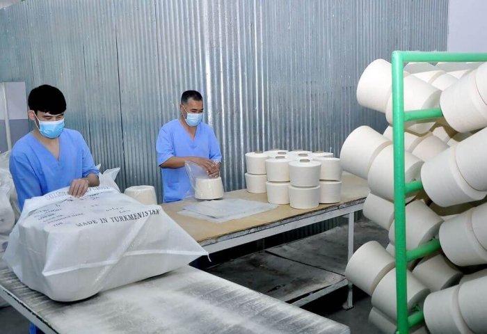 Известны объемы экспорта туркменской х/б пряжи и экстракта солодка