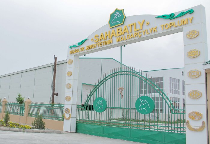Livestock Complex in Turkmenistan Increases Goat Milk Production