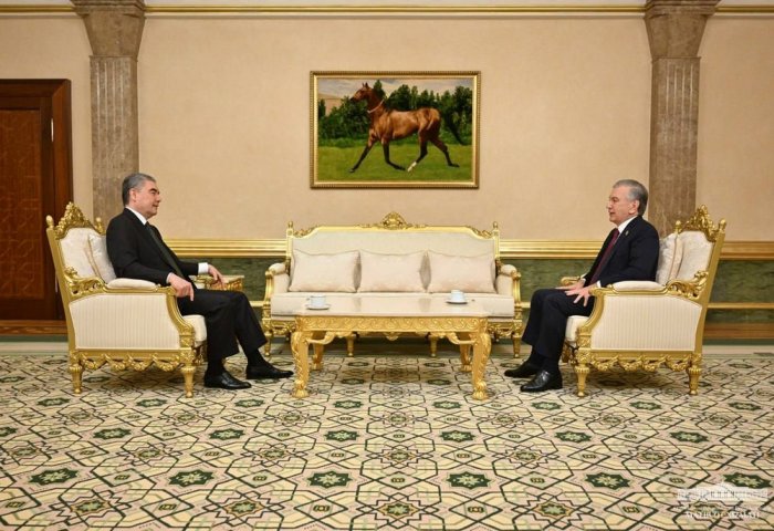 Gurbanguly Berdimuhamedov and Shavkat Mirziyoyev Discuss Joint Project Implementation