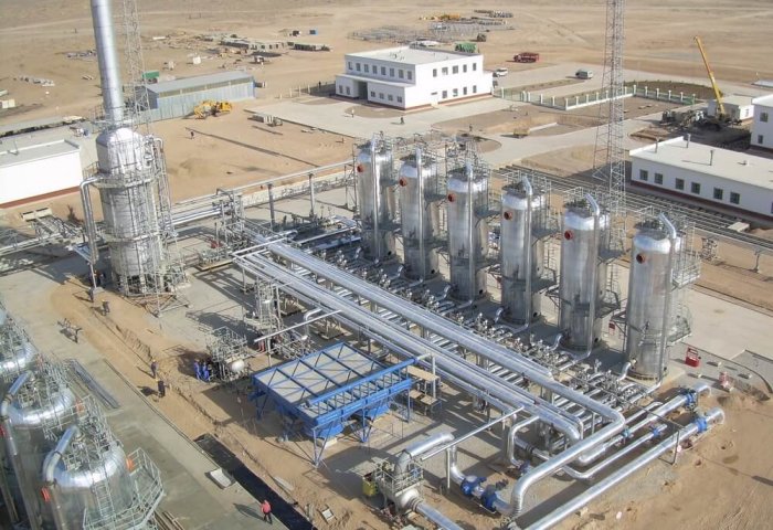 Turkmen Businesses Consider Construction of Chemical Plant
