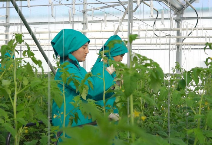 Lebap'ta özel sektör üretimi arttırıyor