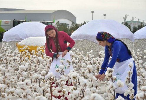 Turkmen President Raises Purchase Prices for Cotton and Wheat