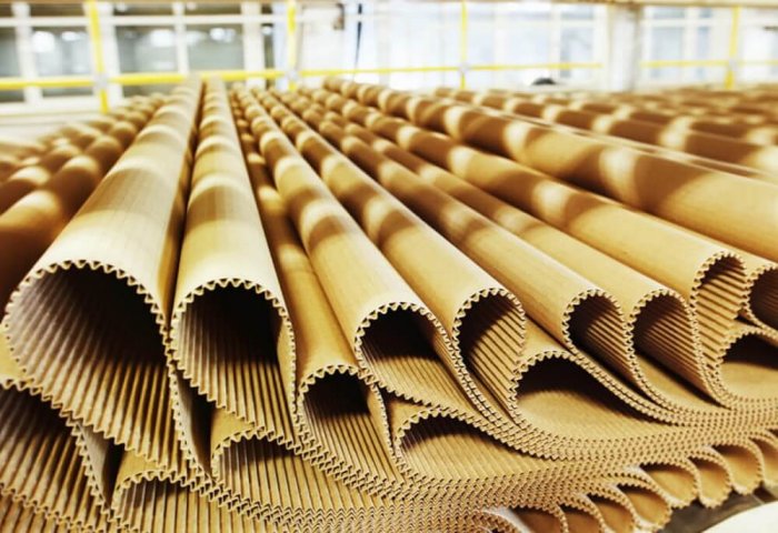 Türkmenistanlı şirket, Özbekistan ve Turkiye'ye kağıt ürünleri ihraç ediyor
