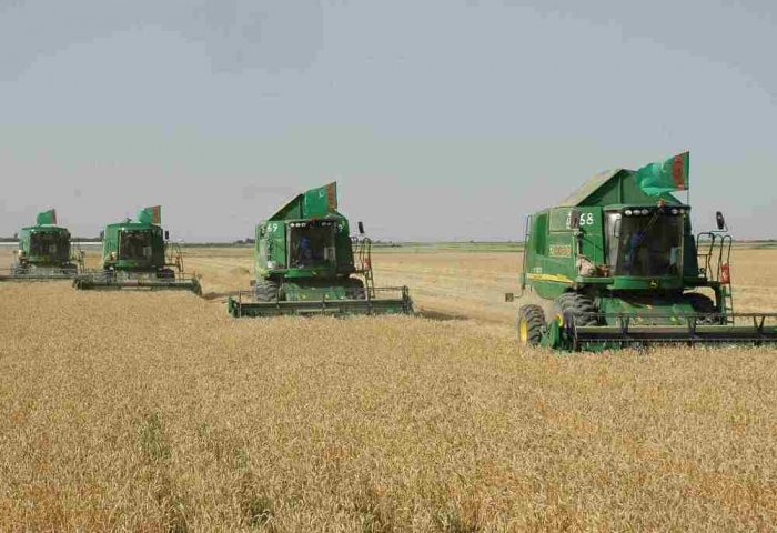 Собрано 1,6 миллион тонн пшеницы  с 760 тысяч гектаров 