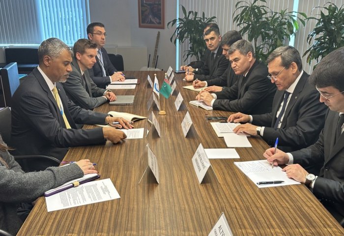 WCO Ready to Support Further Development of Turkmenistan's Customs System