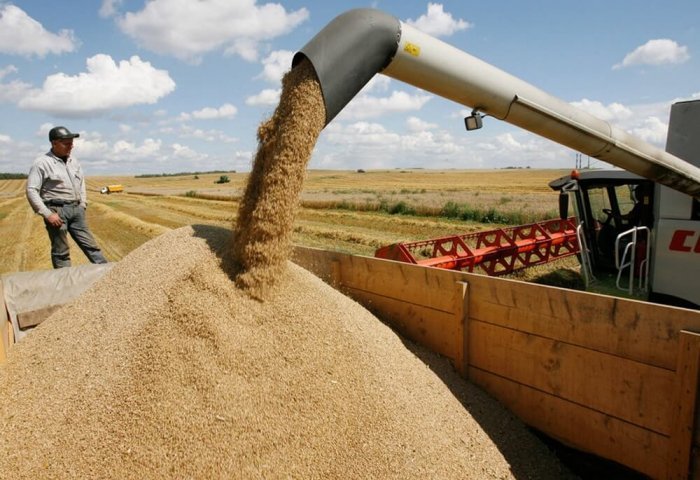 FAO: Küresel gıda fiyatları ard arda beşinci ayda da geriledi