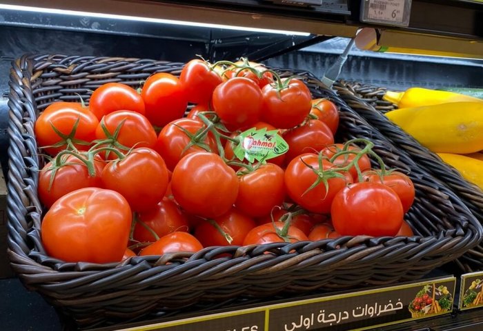 Yigit şirketi 12,5 bin ton domates hasat etmeyi planlıyor