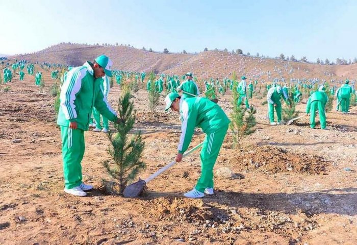 Spring Tree Planting Campaign Kicks Off in Turkmenistan