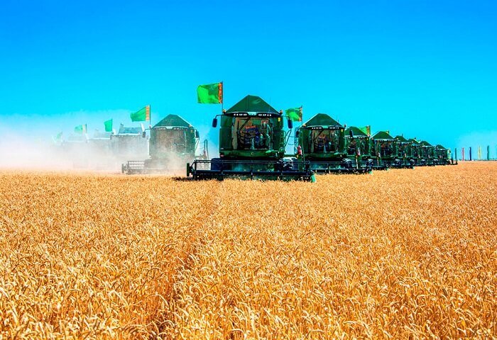 Wheat Harvest Starts in Turkmenistan