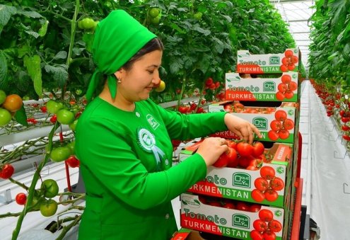 Туркменистан экспортировал 104 тысячи тонн томатов в 2022 году