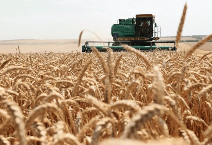 Prodkorporatsiya to Increase Grain Supplies to Afghanistan Via Turkmenistan