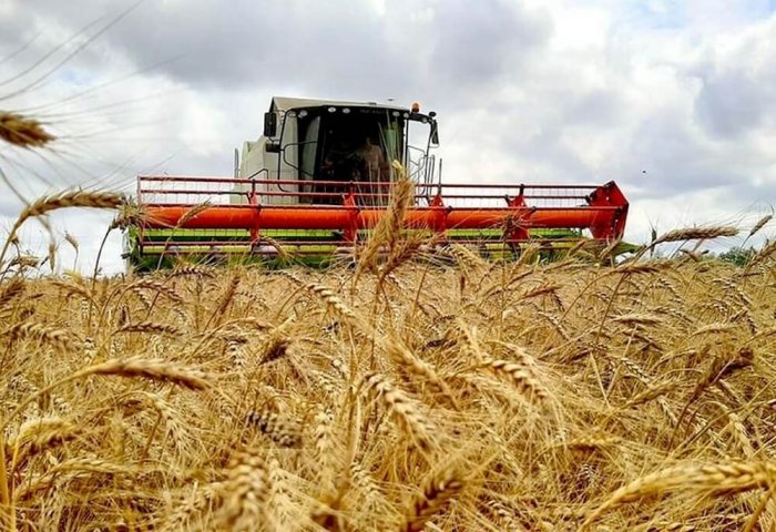 Россия повысит пошлину на экспорт пшеницы до $98,2 за тонну