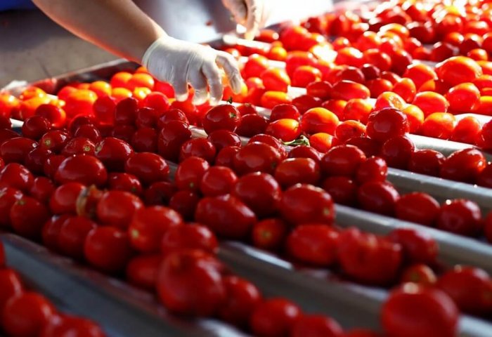 Лебапский велаят Туркменистана увеличивает производство продуктов питания