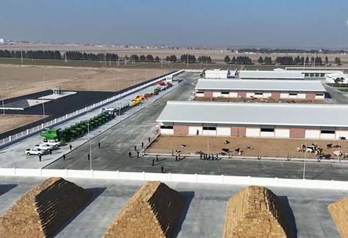 President Berdimuhamedov Opens New Altyn Halka Livestock Complex
