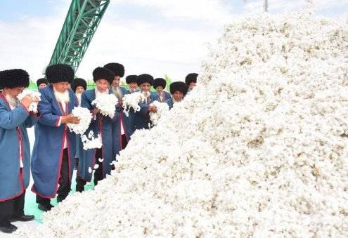 Хлопкоуборочная кампания в Туркменистане стартует 10 сентября