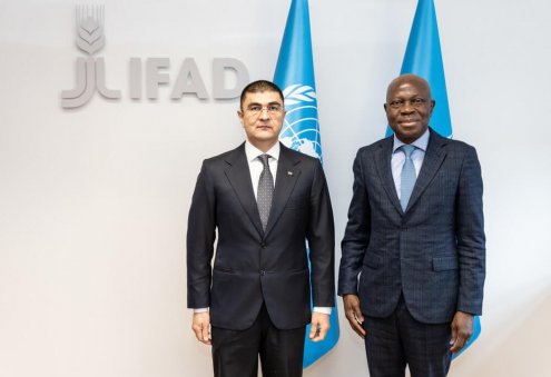 Turkmenistan, IFAD to Consider Projects to Support Agricultural Producers