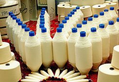 TDHÇMB-da penşenbe güni 15 million manatlyk pagta süýümi satyldy