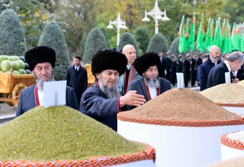 Дашогузский велаят собрал урожай зернобобовых и масляничных культур