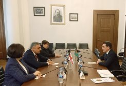 Посол Туркменистан обсудил укрепление сотрудничества с председателем Комитета Парламента Грузии