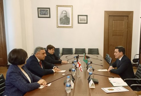 Посол Туркменистан обсудил укрепление сотрудничества с председателем Комитета Парламента Грузии