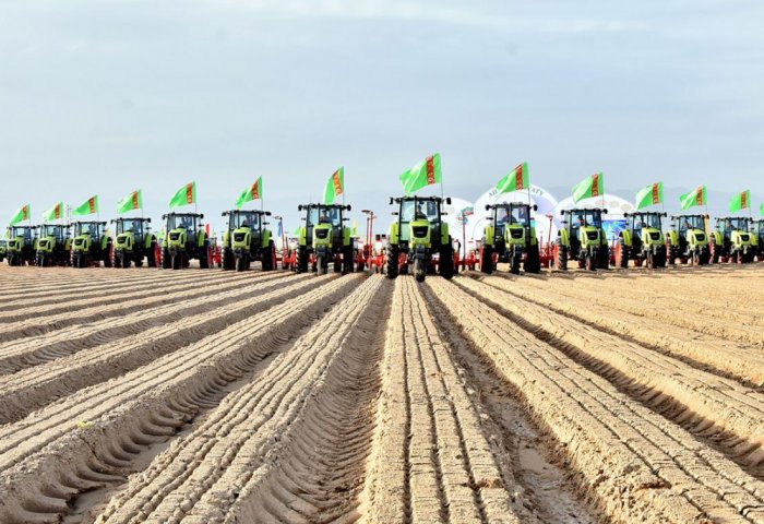 Turkmenistan Starts Cotton Sowing on 620 Thousand-Hectare Land
