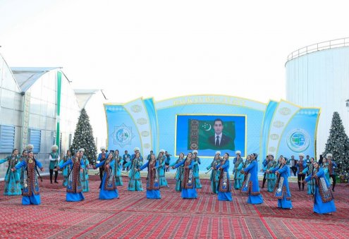 В Берекетском этрапе открыли новую современную теплицу