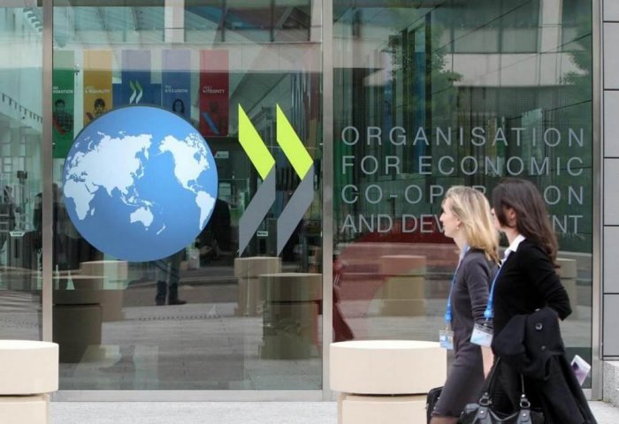 Ashgabat Attends OECD Meeting on Artificial Intelligence