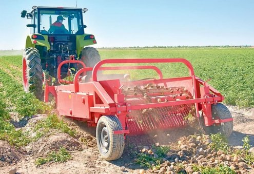 Türkmenistan'ın Mari vilayetinde 251,8 bin tondan fazla sebze hasadı yapıldı