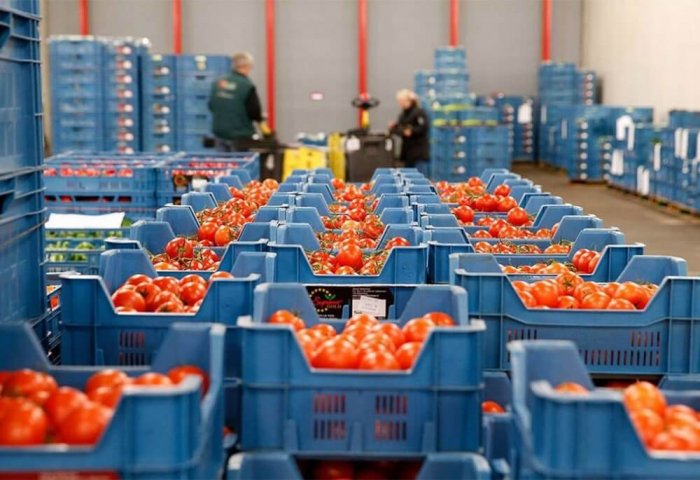 Turkmenistan Increases Its Supplies of Fruits, Vegetables to Russia